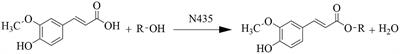 Alkyl ferulic acid esters: Evaluating their structure and antibacterial properties